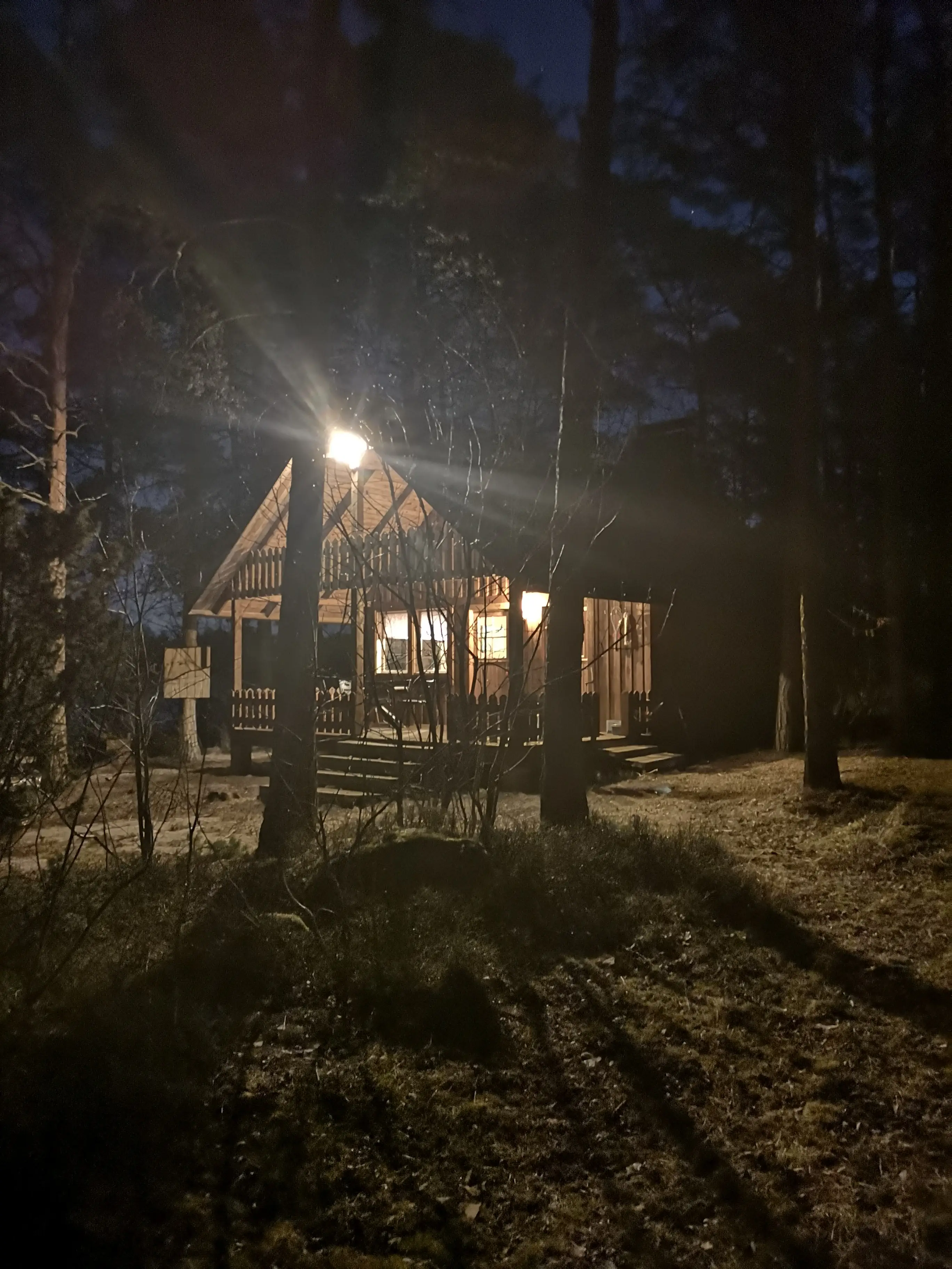 Mökki 1 yöllä valoineen mäntymetsässä
