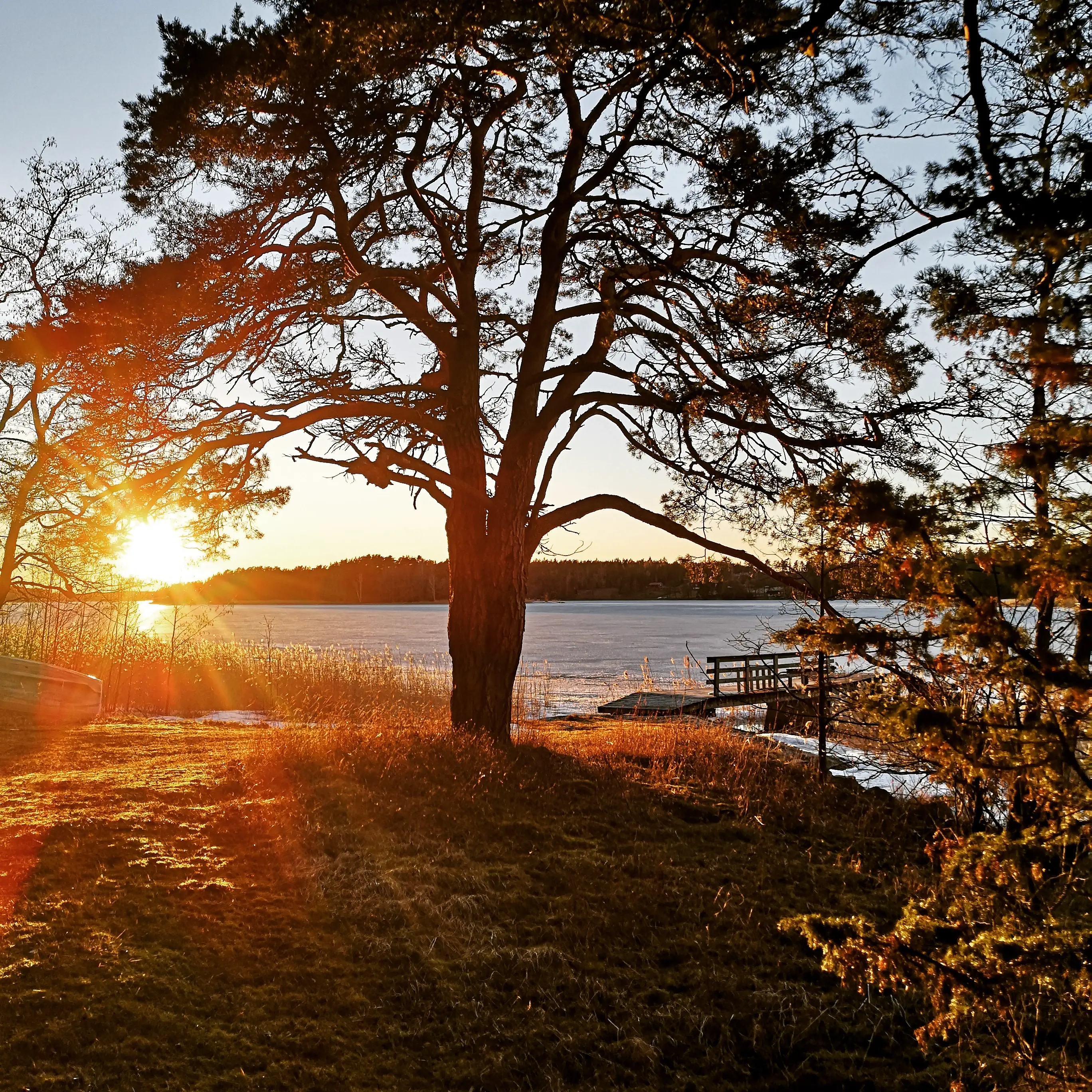 Kotirannan auringonlasku ja laituri