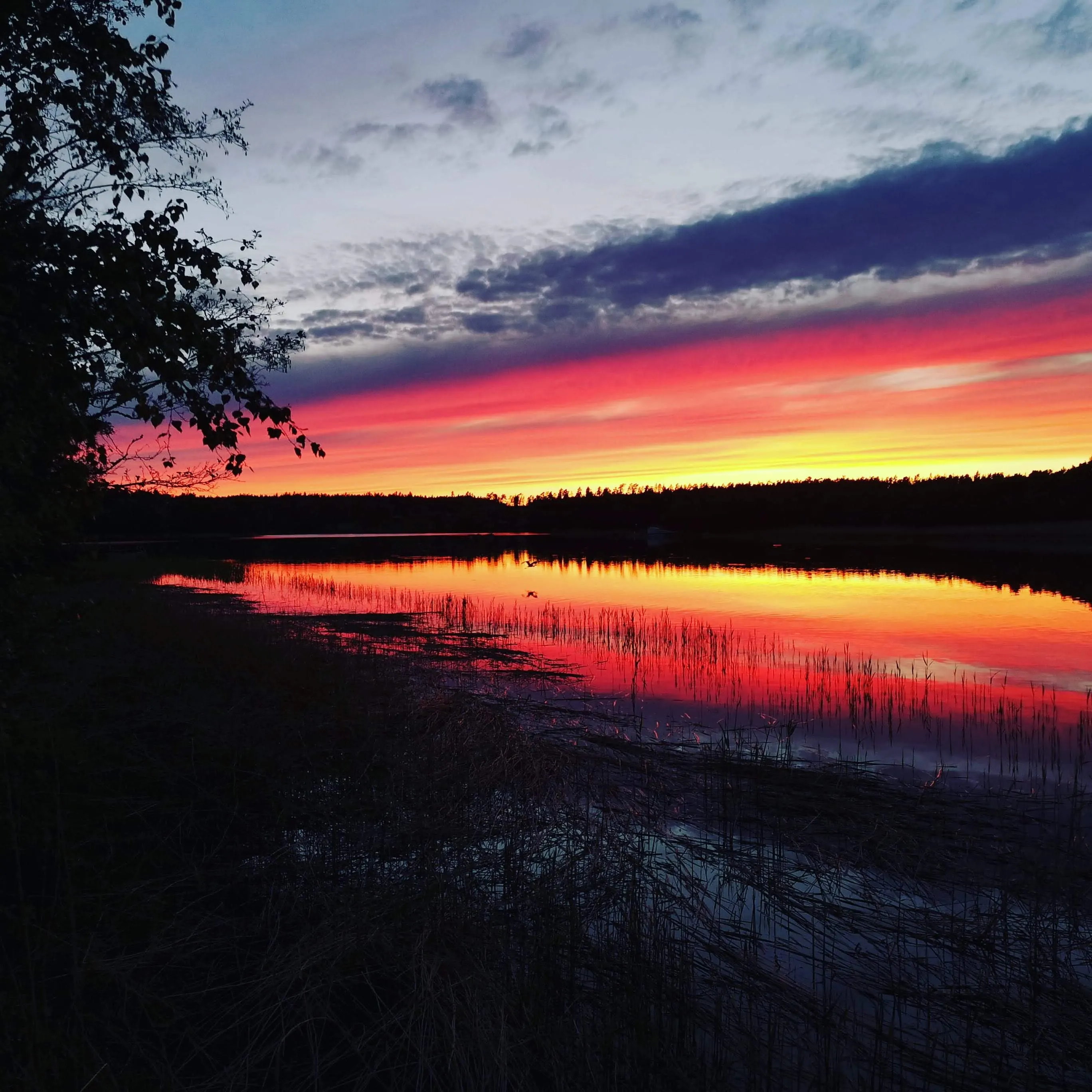 View from Kinttalan tila waterfront in Rymättylä