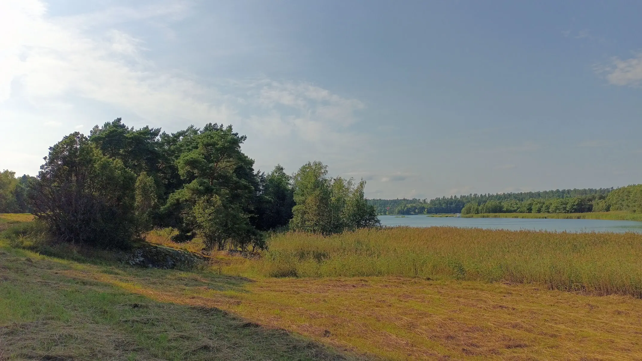 Saaristomeren rantamaisemaa ja kaislikkoa