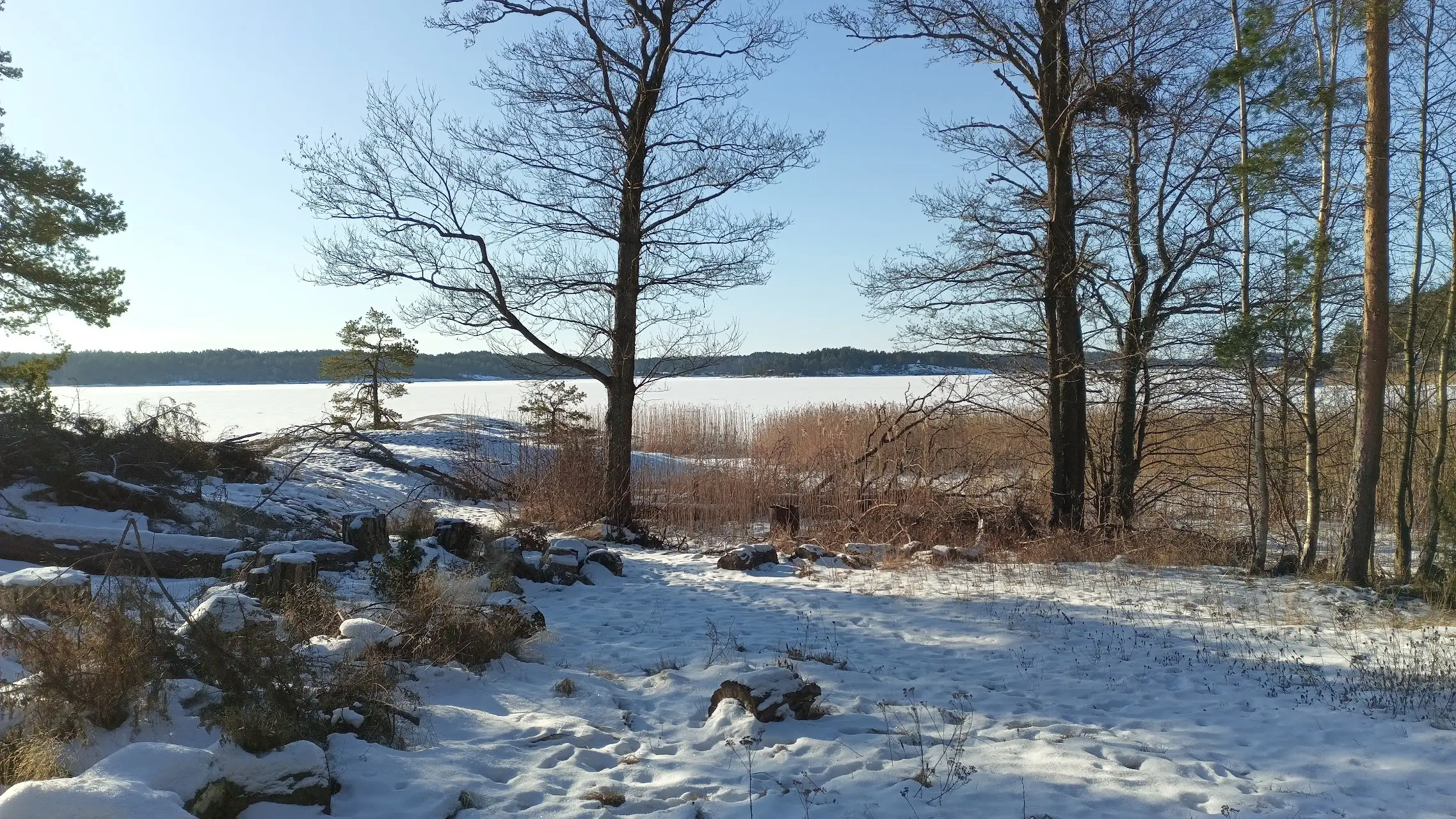 Keusto 2 — image 1