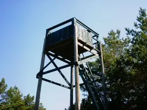 Bird tower at Kinttalan tila